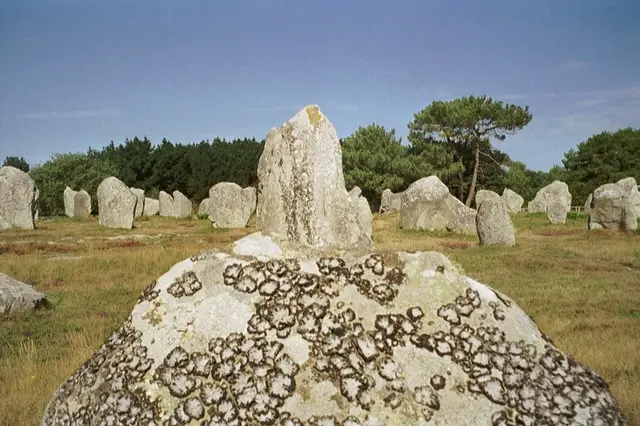 24 - Menhire (Les menhirs) bei Carnac | Foto: GvMeegen