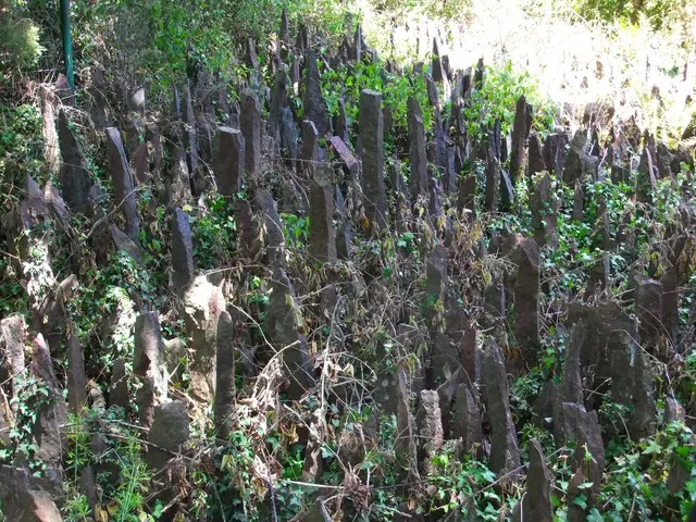 17 - Schutzbarriere um das Kunstwerk „Der goldene Baum“ (L’Arbre d’Or) Tal ohne Wiederkehr im Zauberwald | Foto: GvMeegen