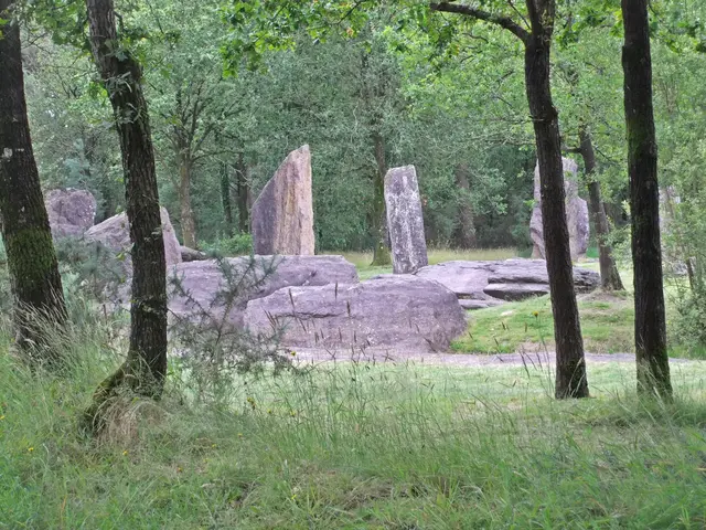 19 - Menhire von Monteneuf (Les Pierres Droites) südlich vom Zauberwald | Foto: GvMeegen