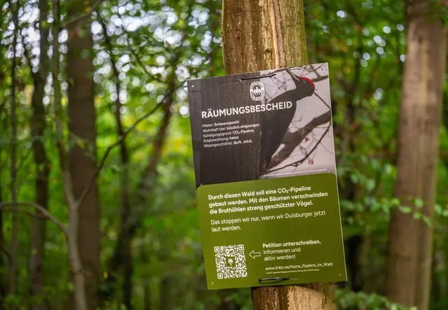 Plakate hängen entlang der Strecke im Gebiet des Stadtwalds, welche in einem der Korridore liegt, die Open Grid Europe für eine CO₂‑Pipeline in Erwägung zieht.   
Foto: Tanja Pickartz / Stadt Duisburg
