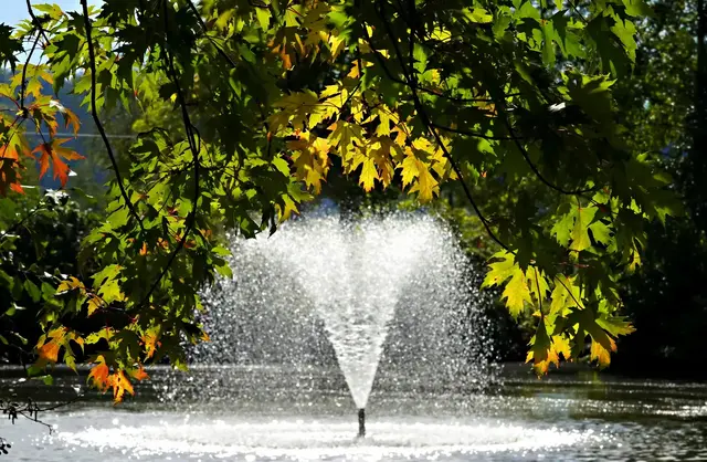Fontäne im Bürgerpark, eingerahmt von herbstlichem Laub | Foto: Helmut Weinl