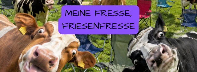 Meine Fresse, Friesenfresse. Die Band "Friesenfresse" überzeugt mit kuriosen Rap, Dance Beats und viel Abwechslung | Foto: Friesenfresse