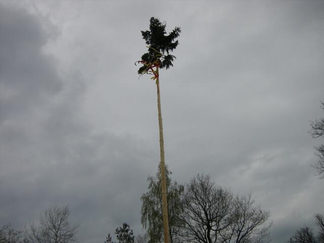 Maibaum an der Rauschenberghütte