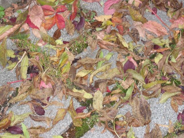 Herbstfest