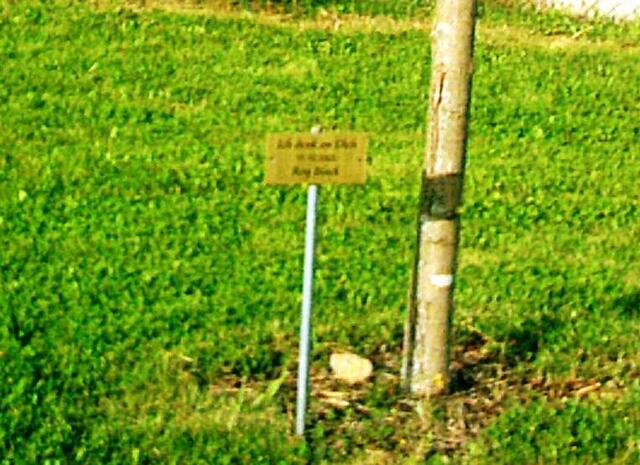 Ein Baum wurde für den bekanntesten Sohn Straßbergs gepflanzt