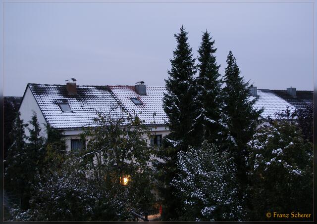Freitagmorgen, 16.10.2009