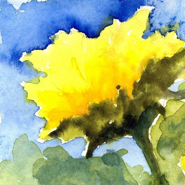 ...Aquarell von B. Holzbrecher...