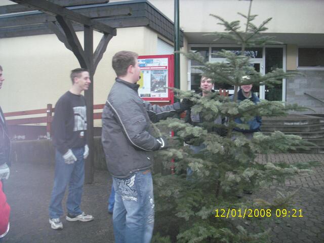 Wieder ein Baum der entsorgt werden soll