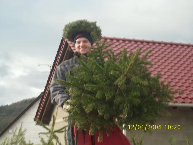 Adrian Dippel lädt einen Tannenbaum auf