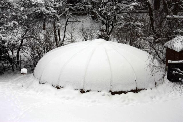 Ufo in Nachbars Garten?