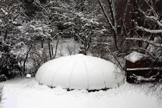 Ufo in Nachbars Garten?