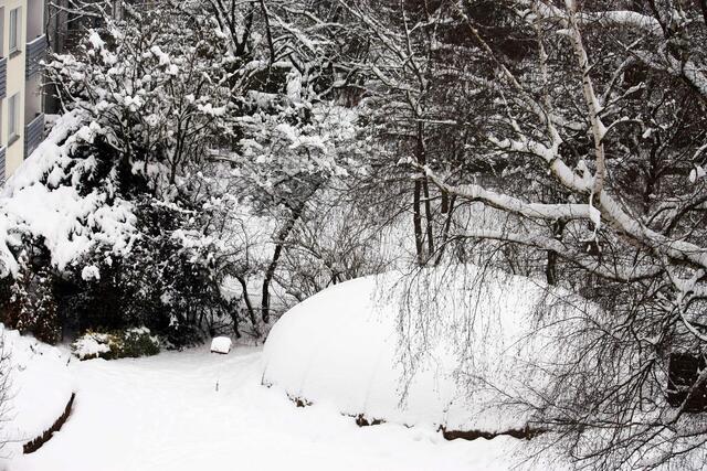 Ufo in Nachbars Garten?