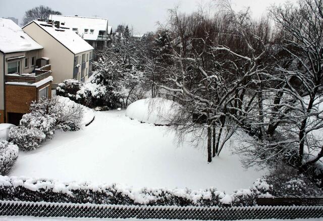 Ufo in Nachbars Garten?