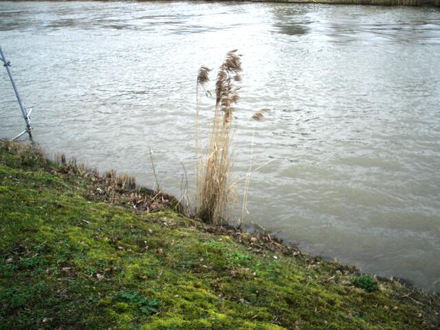 es grünt am Mittellandkanal