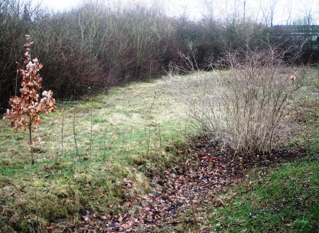links Herbst, rechts Frühling :-)