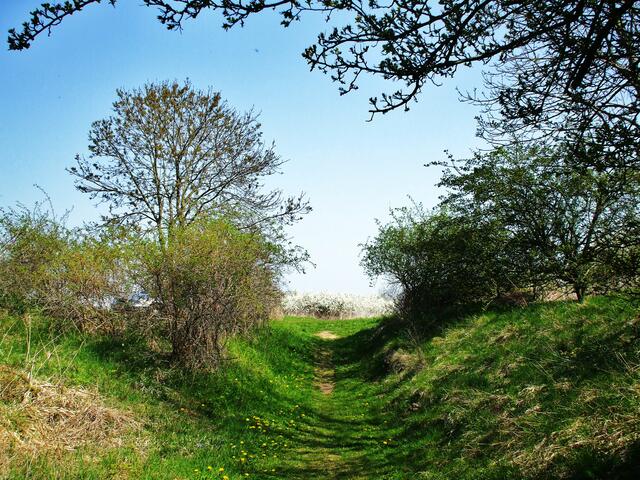 Hohlweg von der Beiten Platte