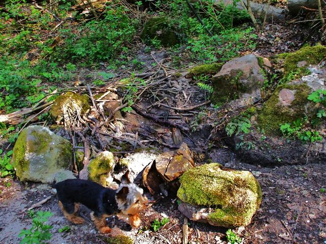 An der Quelle - Happy hat Durst.