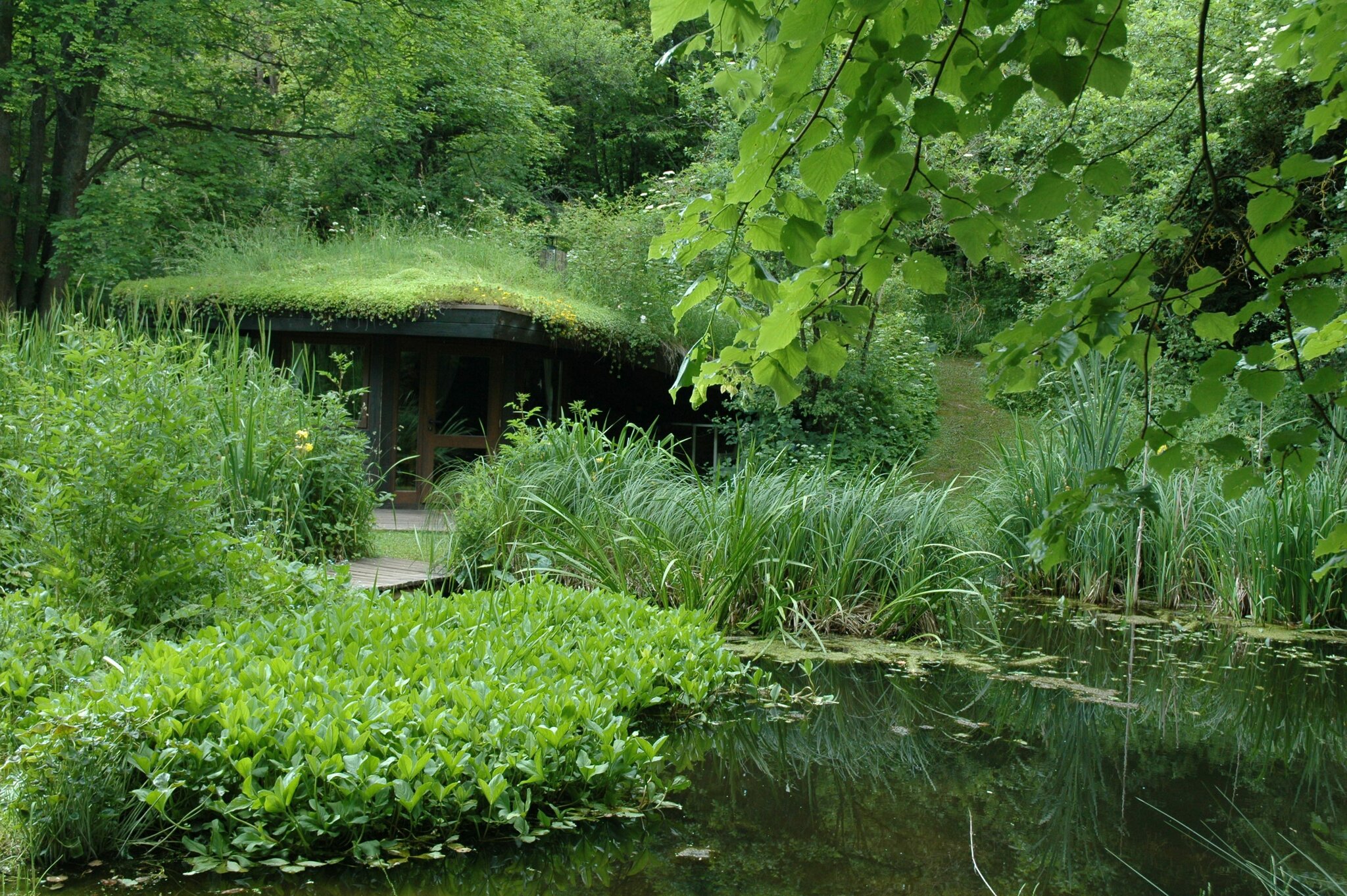 Naturalstil - Wohnen und Leben im Einklang mit der Natur