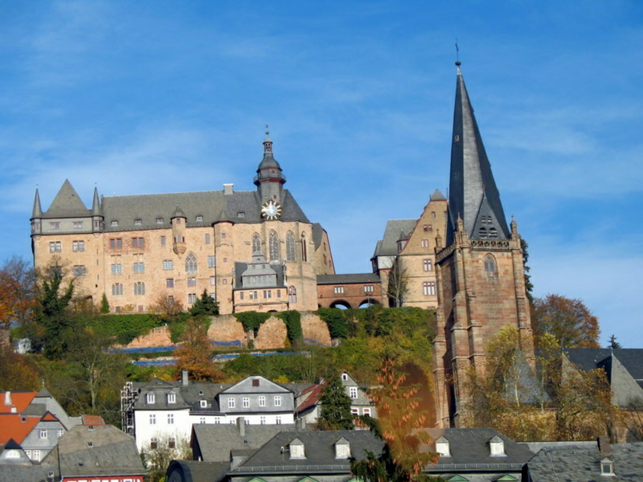 Alter Botanischer Garten Marburg/Lahn Begegnung mit alten ehrwürdigen