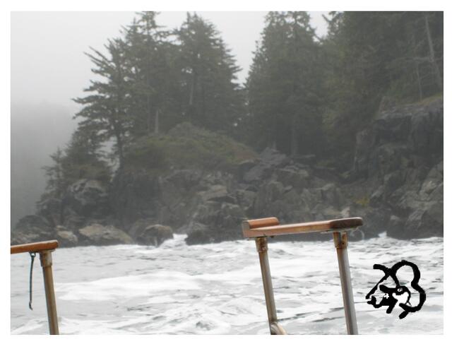 das schwankende Boot in der rauhen See - Grauwal - Graywhale - rauhe Pazifikküste - Westküste Vancouver Island von Brigitte Obermaier