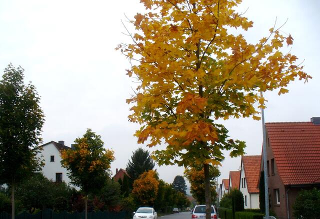 Zur Bushaltestelle
