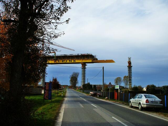 1.11.2010  Straßenüberquerung (Wetzendorfer Straße Rtg. Nebra)