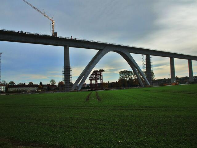 1.11.2010  Straßenüberquerung (Wetzendorfer Straße Rtg. Nebra)