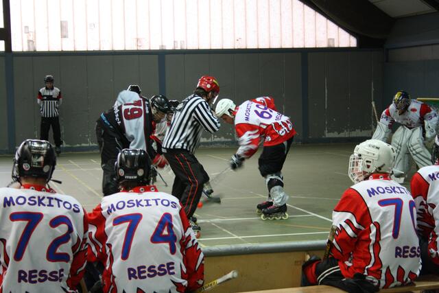 Moskitos gegen Silverbacks
