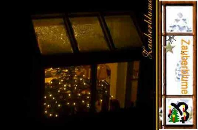Blick zum Nachbarn 2003 - Der sechsundzwanzigste Dezember - Christbaum loben