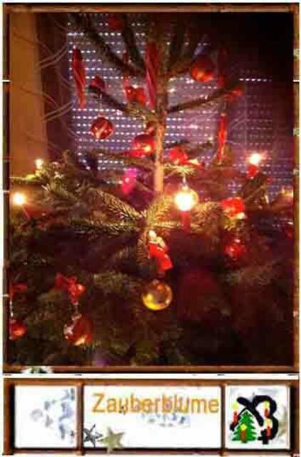 Licht an meinem Christbaum 2010 - Der sechsundzwanzigste Dezember - Christbaum loben