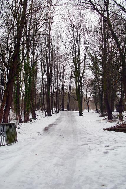 Stadtpark