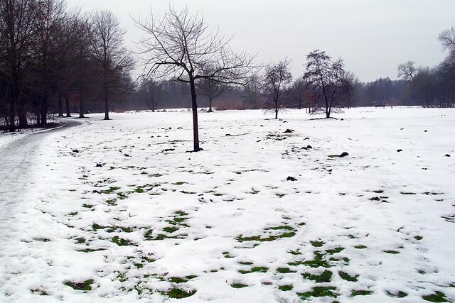 Stadtpark