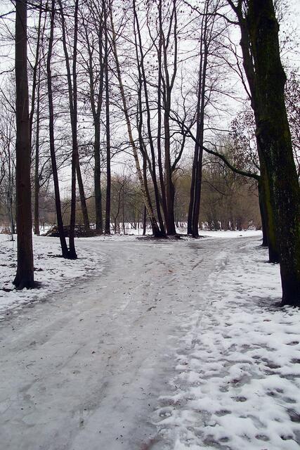 Stadtpark