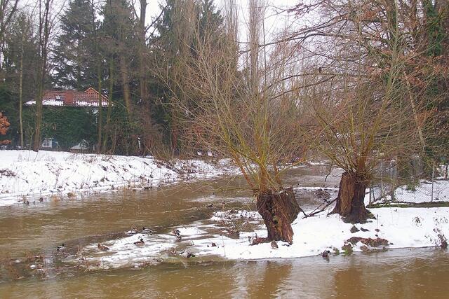 Am Brückendamm und Schützenplatz, Aue und Gümmekanal