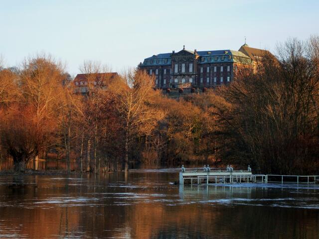 Hochwasser am 22.1.2011 !