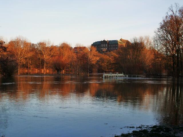 Hochwasser am 22.1.2011 !