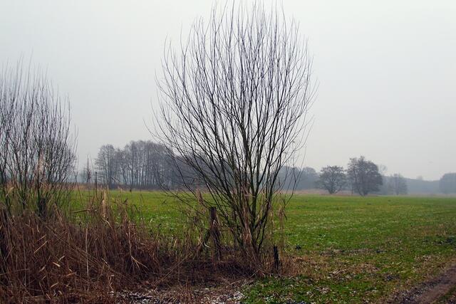 Zwischen Burgdorf und Steinwedel