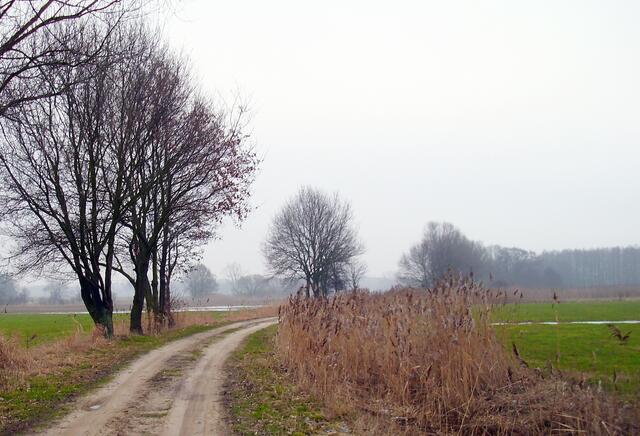 Zwischen Burgdorf und Steinwedel