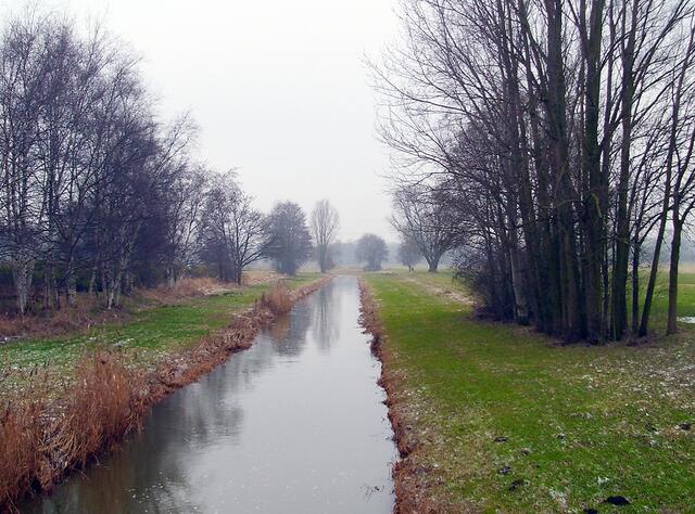 Die Aue bei Steinwedel