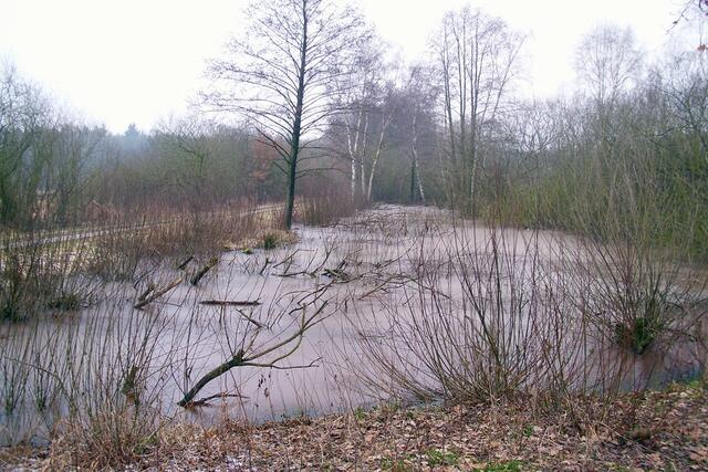 Zwischen Burgdorf und Steinwedel