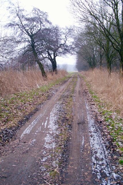 Zwischen Burgdorf und Steinwedel