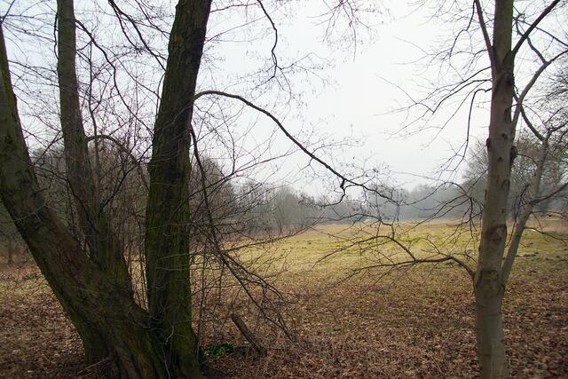 Stadtpark Burgdorf Richtung Ahrbeck
