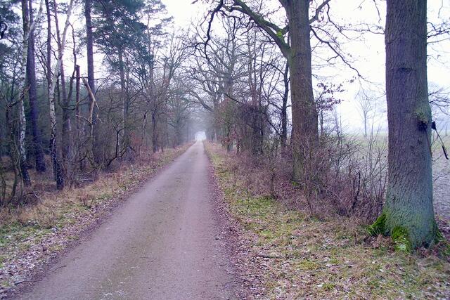 Zwischen Burgdorf und Steinwedel