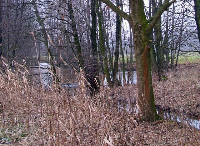 Zwischen Burgdorf und Steinwedel