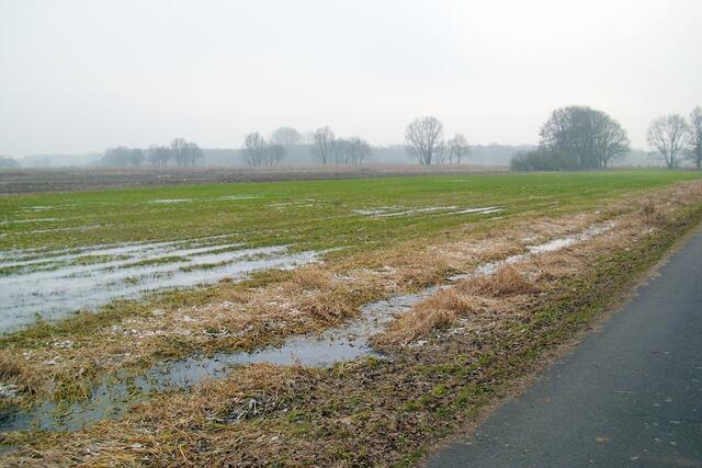 Stadtpark Burgdorf Richtung Ahrbeck