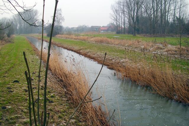 Die Aue bei Steinwedel