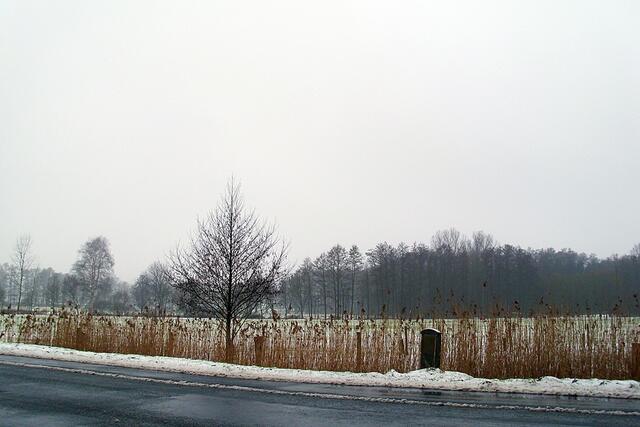 An der Straße Richtung Sorgensen