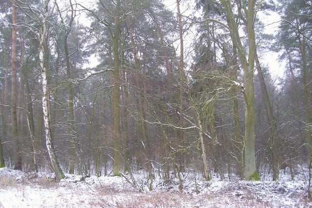 Feldmark Dachtmissen (Nähe Trimmpfad)
