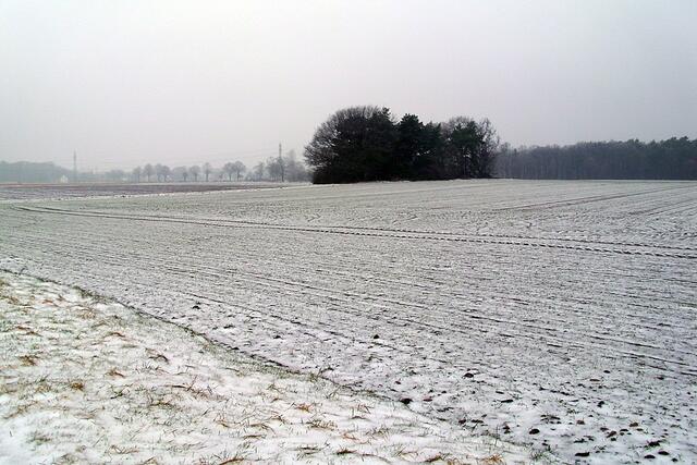 Feldmark Dachtmissen