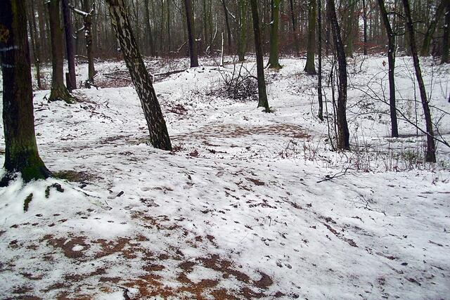 Waldweg Richtung Hülptingsen/Sorgensen